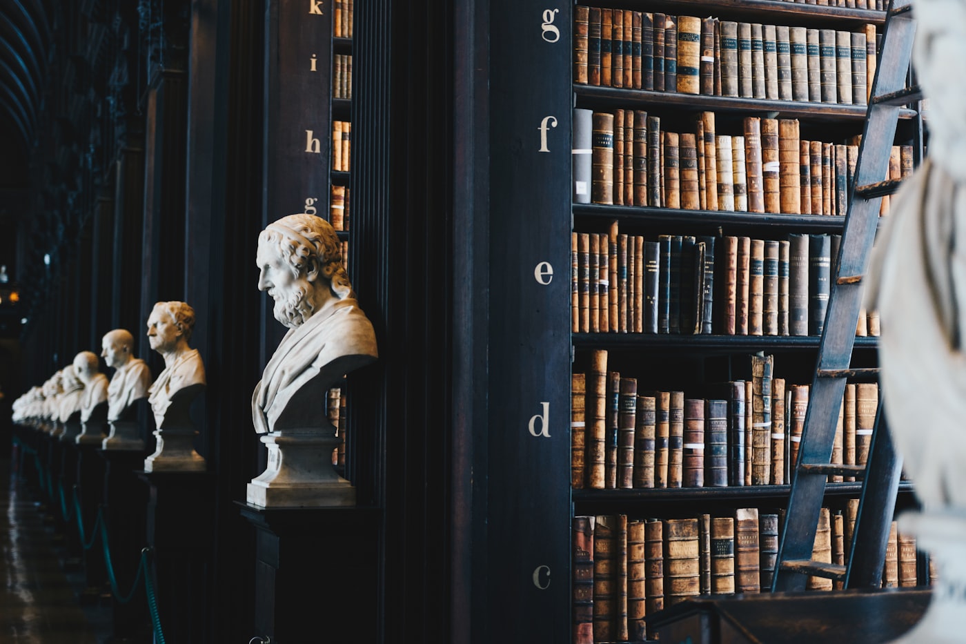 A grand classical law library with marble busts and aged law books, representing the depth of criminal defense practice